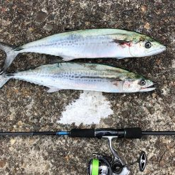 スーパーライトショアジギング